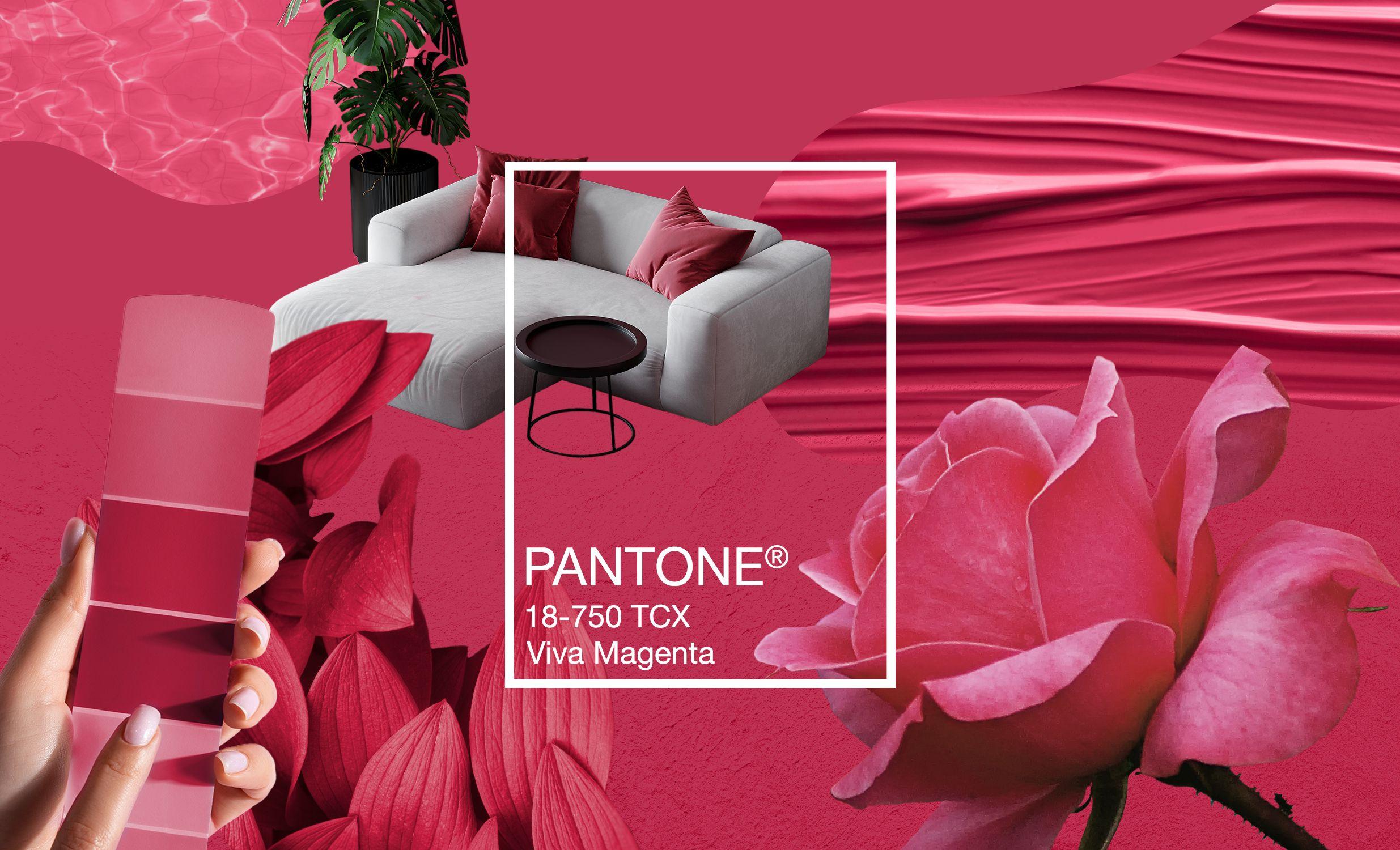 Exploring Viva Magenta Flowers and Pantone's 2023 Color of the